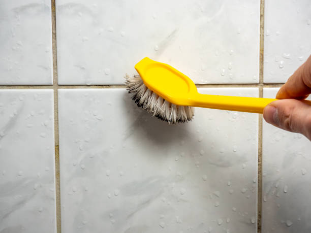 Best Professional Mold Removal  in Schnecksville, PA
