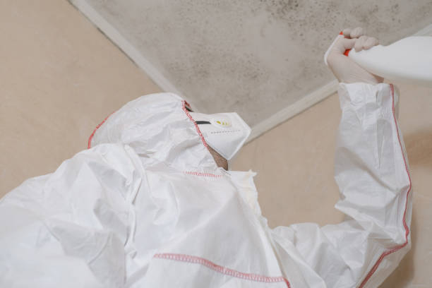 Best Certified Mold Removal  in Schnecksville, PA